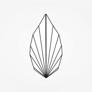 Dinu Decorate the Table - Napkin Folding Instructions