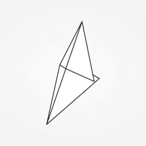 Dinu Decorate the Table - Napkin Folding Instructions